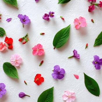 Overhead view of a textured white surface scattered with colorful flowers and green leaves photo