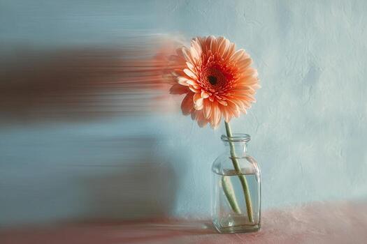 A single orange gerbera daisy in a clear vase with blur effect on textured background photo