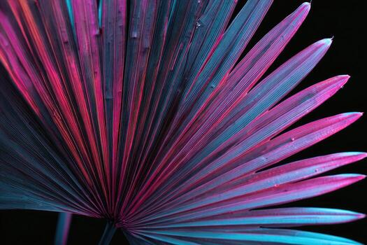 Close-up of a palm leaf, radiating from center, illuminated with vibrant pink and teal light photo