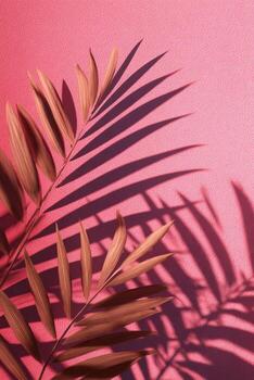 Pink backdrop with palm leaves creating shadow art, simple and elegant composition photo