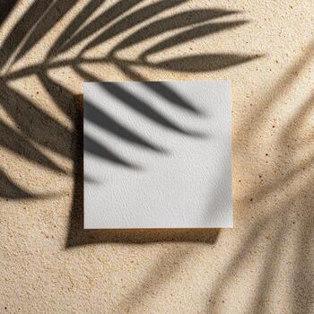 Square white paper on sandy surface with palm shadow photo