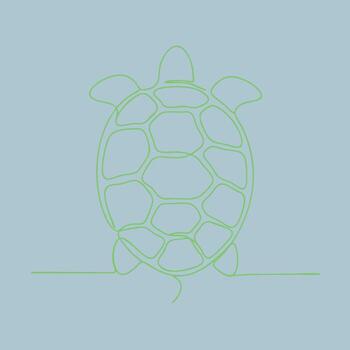 Minimalist Line Drawing of a Turtle with a Simple Outline on a Light Blue vector