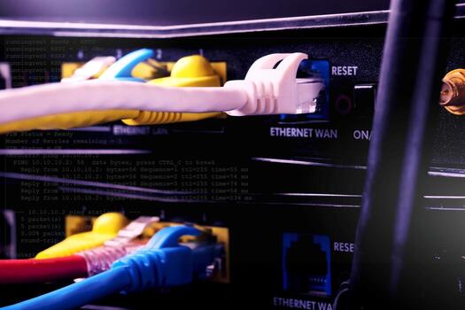 Ethernet Cables Connected to Network Switch for High Speed Internet and Data Transfer photo