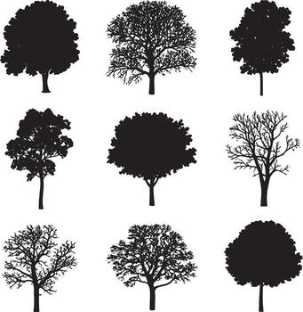 árbol siluetas colección con desnudo ramas en transparente antecedentes vector