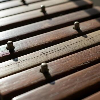 Macro Exploration of a Weathered Xylophon Detailed Shimmering Wooden Keys under Soft Natural Light Emphasizing Intricate Fine Textures. photo