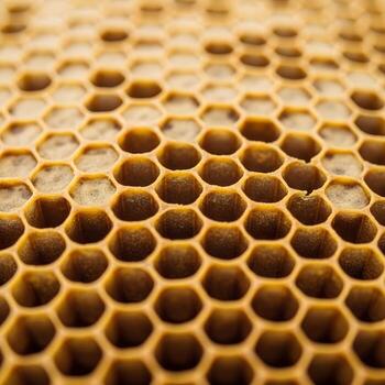 Macro Exploration of Beehive Wax Revealing Intricate Honeycomb Textures and Patterned Structures Bathed in Warm, Golden, Timeless Light Artfully Crafted. photo