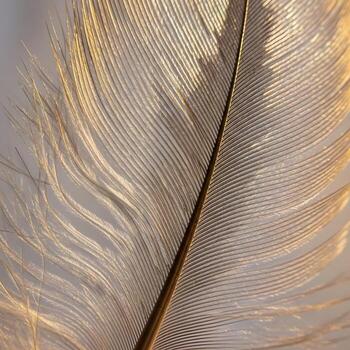 Luminescent Macro Vignette An Owl Feather Unveiling Intricate, Poetic Patterns and Pulsatrix Elegance Under Soft, Dreamlike Lighting In Timeless Harmony photo