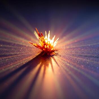 Explosive Macro Symphony An Intimate Close-Up Voyage into Vivid, Intricate Textures, Bursting Patterns, and Subtle Light Dances on a Surface photo