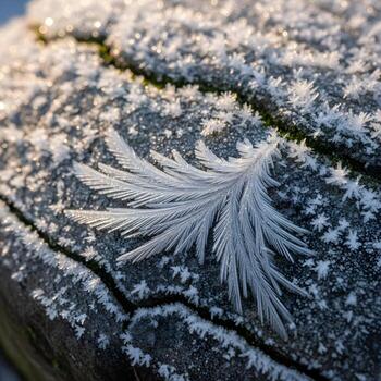 intrincado congelado fractales esclarecedor el resistido Roca con delicado hielo cristales formando un eterno, fascinante natural modelo de glacial elegancia. foto