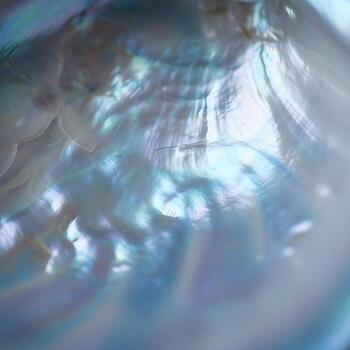 Macro Marvel Exploring the Iridescent Seashell Nacre with Captivating Ocean Blue Hues and Soft, Subtle Textures in Nature's Minimalistic Elegance photo