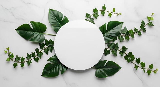 Top view of white circle surrounded by fresh green monstera and ivy leaves on marble background photo