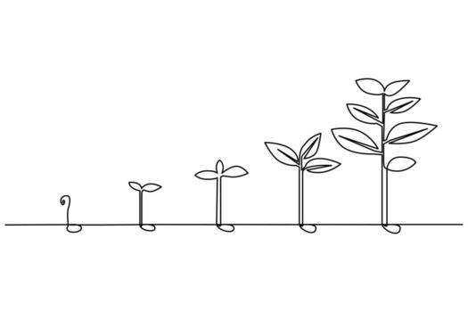 Continuous single line sketch of plant growth for organic and botanical concepts vector