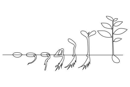 Continuous single line drawing of growth plant tree processing outline illustration vector