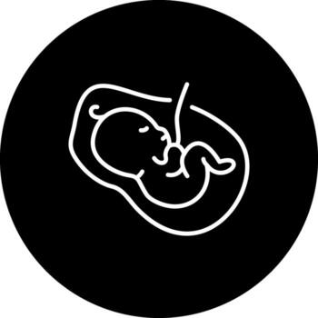 Placenta Stylish Design Object Stylish Design Object vector