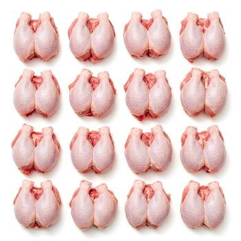Top-down view of a dozen raw chicken drumsticks arranged in a grid pattern on a white background, ready for cooking or meal preparation photo
