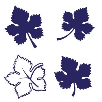 Set of four stylized grape leaves in different styles and solid colors on white background vector