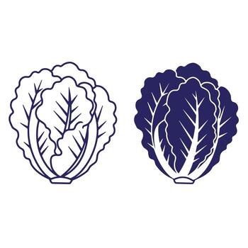 Graphic illustration of two different styles of cabbage design elements with details vector