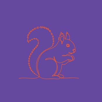 Minimalist Line Drawing of a Squirrel with a Curly Tail and Expressive Features on a Solid vector