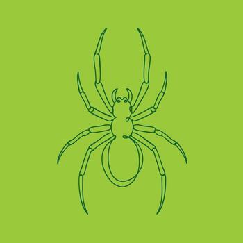 Detailed line drawing of a spider with multiple legs and a segmented body on a vibrant green vector