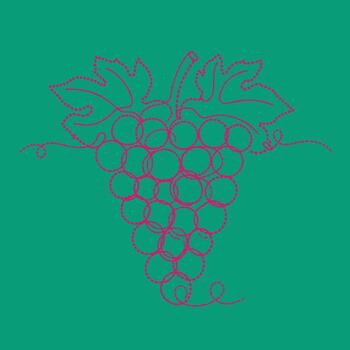 Stylized Cluster of Grapes with Leaves and Vines, Artistic Line Drawing on Solid vector