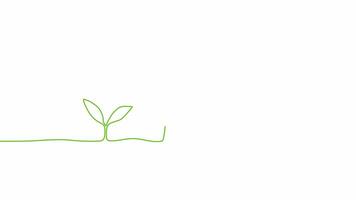 continuo uno linea disegno pianta germinazione sequenza su bianca sfondo. se stesso disegno animazione. mano disegnato passaggi di in crescita a partire dal semi alberi, semplice disegno, arte. crescita concetto. fatto un passo germoglio. 4k video