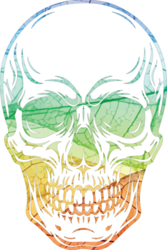 Illustration of colorful skull illustration isolated on transparent background, featuring a vibrant spectrum of colors and intricate details, creating a visually striking image png