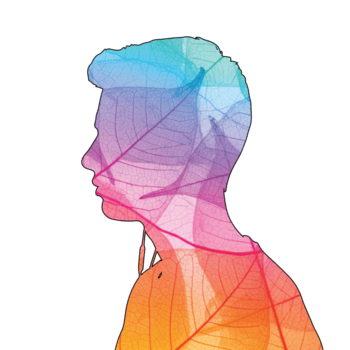 illustrazione di silhouette di un' mans testa nel profilo pieno con colorato foglia vene, isolato su trasparente sfondo, la creazione di un' unico e artistico rappresentazione png