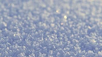 snö yta. färsk snö omslag. snöflingor och pärlar på solig snö textur. vinter- bakgrund. små djup av fält. snöig yta med skinande is kristaller. frysta makro detaljer. solig väder dag. video