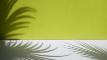 minimal abstrakt bakgrund med skugga av tropisk handflatan löv. presentation av kosmetisk produkt. premie podium på pastell ljus grön vägg och vit tabell. monter, visa fall, främre se. attrapp video