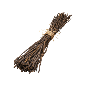 bündeln von getrocknet Zweige gebunden mit Schnur. natürlich basteln und rustikal Dekoration. isoliert auf transparent Hintergrund png