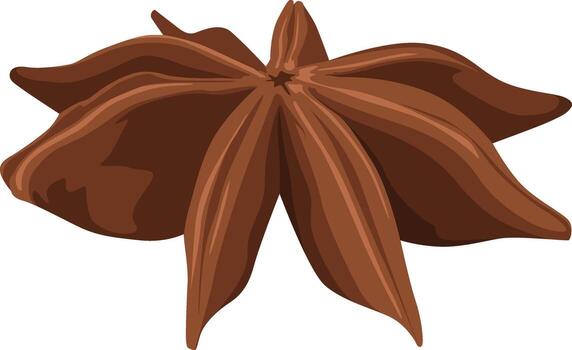A single star anise pod with eight points, rendered in a illustration style with brown and tan colors. vector