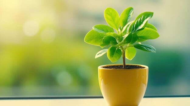 Lush green leaves of small indoor plant thrive in yellow ceramic pot, copy space photo