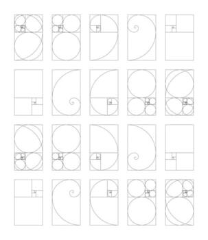 Vertical golden ratio harmony proportions template set. Fibonacci numbers, array collection. vector