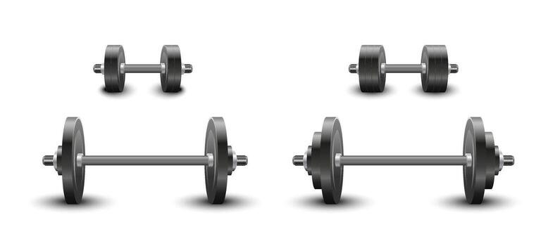 Realistic barbell and dumbbell illustrations in format vector