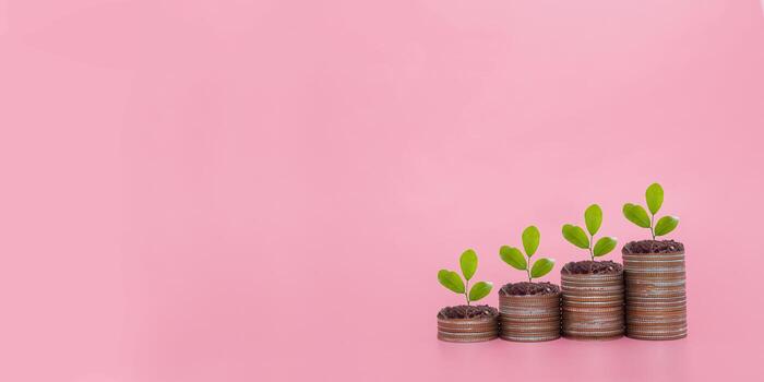 Plants growing up on stack of coins. The concept of save money for prepare in the future photo