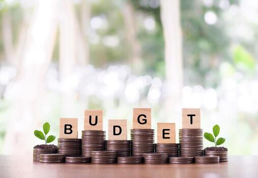 Wooden blocks with the word BUDGET and plants growing up on stack of coins. Concept about budget planning and allocation photo