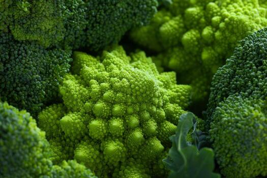 A close up view of a bunch of broccoli photo