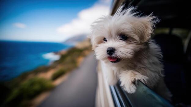 Happy dog enjoying a scenic road trip with ocean view from car window photo