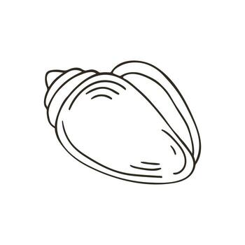 A drawing of a shell on a white background vector
