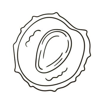 A drawing of a shellfish on a white background vector