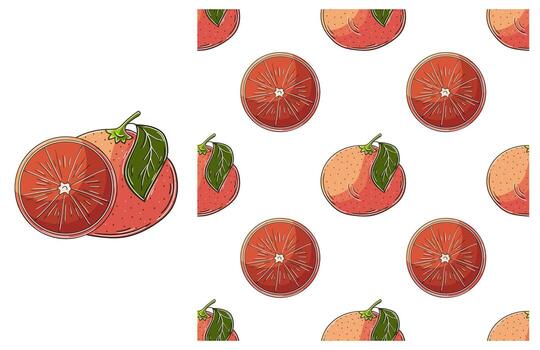 Grapefruit and orange pattern vector