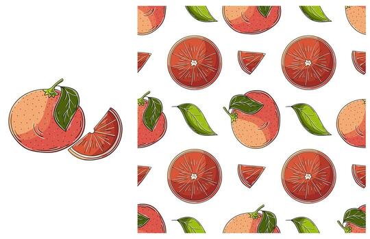 Grapefruit and grapefruit slices are shown in this pattern vector