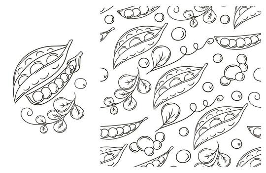 Two different patterns of leaves and berries vector
