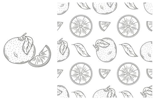 A set of oranges and leaves are shown in a pattern vector