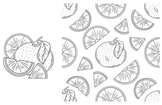 A set of oranges and slices are shown in this image vector