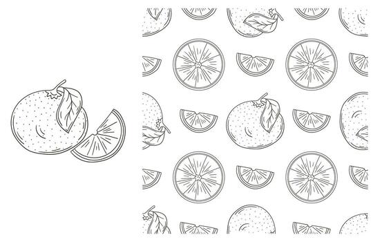 A set of seamless patterns with oranges and slices vector