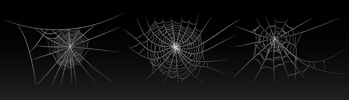 Halloween old spooky cobweb with various sizes and shape vector