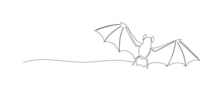 Bat one continuous line illustration. Hand drawn sketch isolated on white background. Halloween design vector