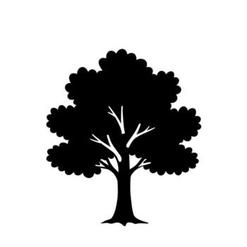 Silhouette of a deciduous tree with a full crown and visible branches. vector