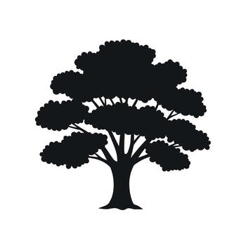 Silhouette of a large deciduous tree with a broad canopy. vector